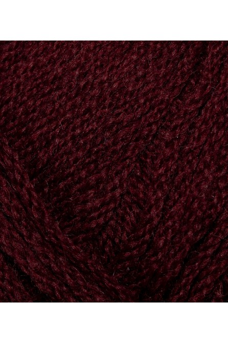 Crocus Perfil 6361 Bordeaux